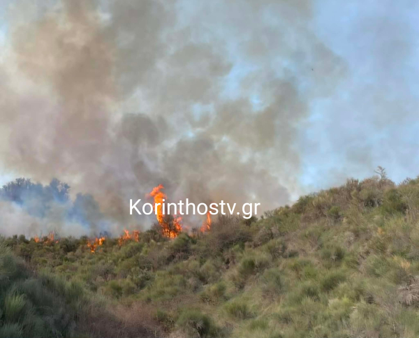 Φωτιά τώρα στα Σοφιανά Κορινθίας (Εικόνες)