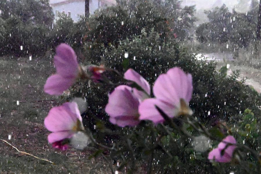 Καιρός: Τελευταία μέρα «Φθινοπώρου» σήμερα - Πού θα ρίξει καταιγίδες