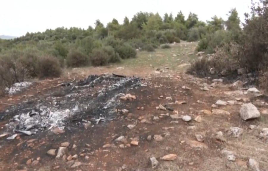 Απανθρακωμένο πτώμα στη Βοιωτία: Σε αυτά τα 3 σημεία «κλειδιά» επικεντρώνονται οι Αρχές