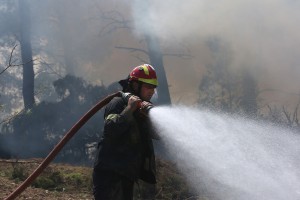 Μεγάλη φωτιά σε μονάδα εκτροφής γουρουνιών στα Τρίκαλα