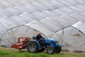 Ευκολότερη η διατήρηση της ιδιότητας του επαγγελματία αγρότη - Οι νέες εξαιρέσεις εισοδημάτων