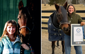 Αυτό είναι το γηραιότερο άλογο στον κόσμο - Μεγάλωσε μαζί με την κηδεμόνα του (Εικόνες και Βίντεο)