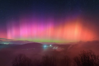 Betti Bognár-Volenszki - Facebook