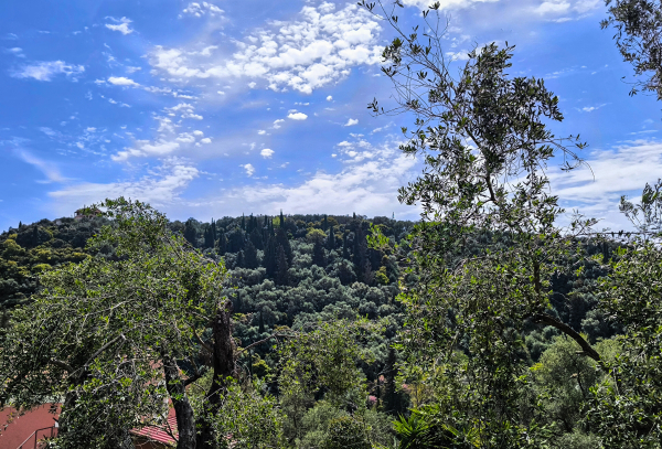 Αίθριος, με λίγα σύννεφα, ο καιρός σήμερα - Πού θα χρειαστείτε ομπρέλα