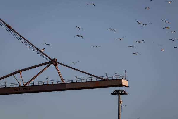 Σε πλήρη εξέλιξη η έρευνα της Ευρωπαϊκής Εισαγγελίας για πολυεθνικό κύκλωμα τελωνειακής απάτης στον Πειραιά