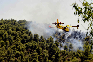 Μεγάλη φωτιά στον Ωρωπό, κινητοποίηση πυροσβεστικής και διακοπή κυκλοφορίας