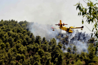 Μεγάλη φωτιά στον Ωρωπό, κινητοποίηση πυροσβεστικής και διακοπή κυκλοφορίας