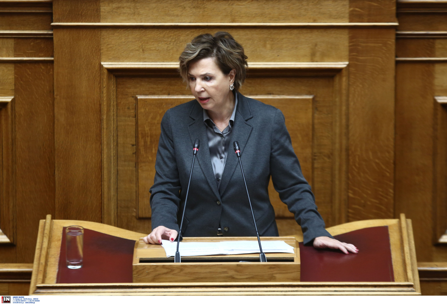 Γεροβασίλη: Κανένας σχεδιασμός στην κυβέρνηση για τον πρωτογενή τομέα, αγώνας επιβίωσης για τους αγρότες