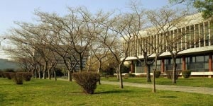 Νέα 48ωρη απεργία στο ΑΠΘ και το Πανεπιστήμιο Μακεδονίας