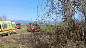 lamiareport