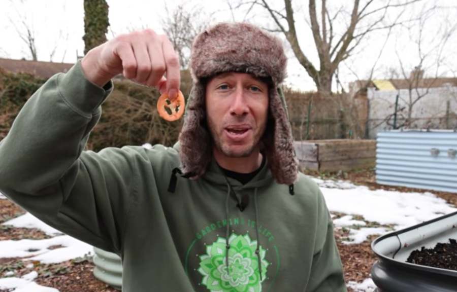 Κηπουρός φύτεψε σπόρους ντομάτας από μπέργκερ των McDonald's - Τρεις μήνες μετά είδε το αποτέλεσμα