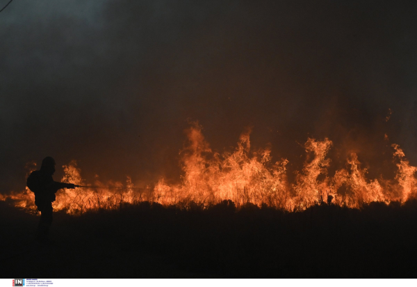 Το αποκαρδιωτικό «πριν και μετά» στην Πάρνηθα: Τι άφησε πίσω της η πύρινη λαίλαπα στη Φυλή