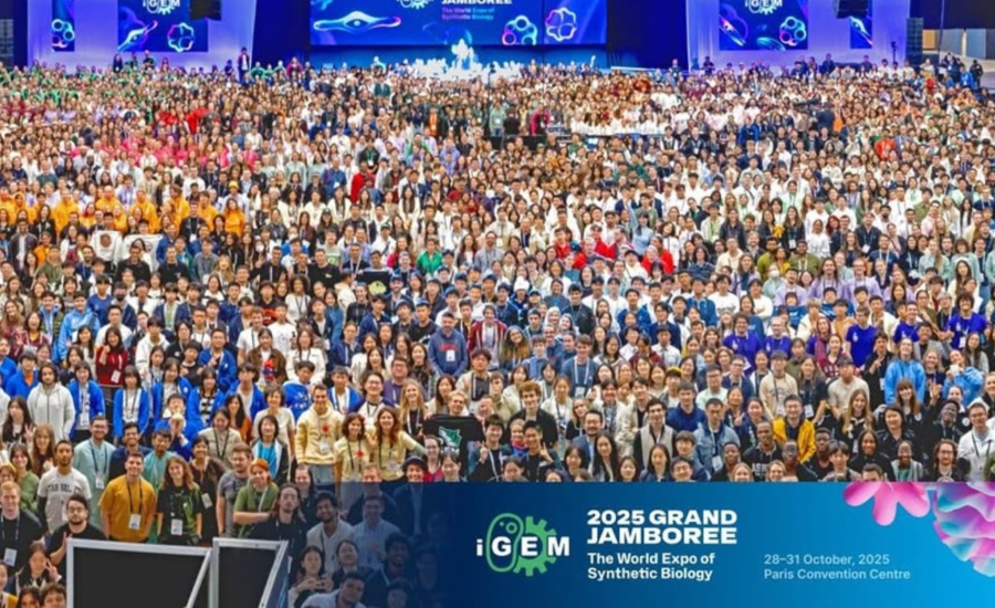 Στην τελική ευθεία για το Χρυσό οι φοιτητικές ομάδες iGEM της Ελλάδας