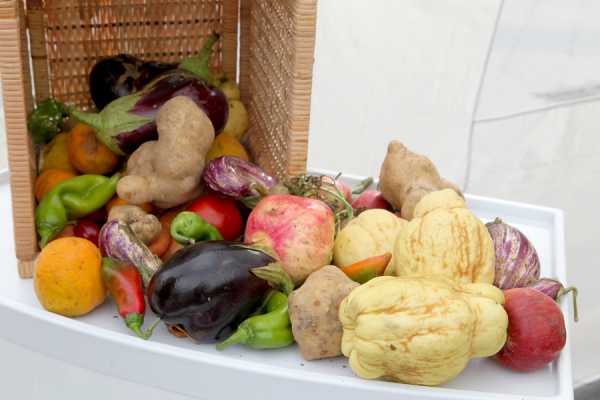 Παγκόσμια Ημέρα Διατροφής: Κοινωνική Προστασία και Γεωργία