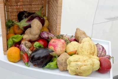 Παγκόσμια Ημέρα Διατροφής: Κοινωνική Προστασία και Γεωργία