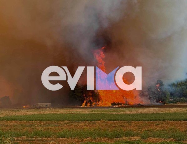 Εύβοια: Ανεξέλεγκτη η φωτιά στη Μακρυκάπα – Προς Πισσώνα το μέτωπο, κινδυνεύουν εγκαταστάσεις (εικόνες και βίντεο)