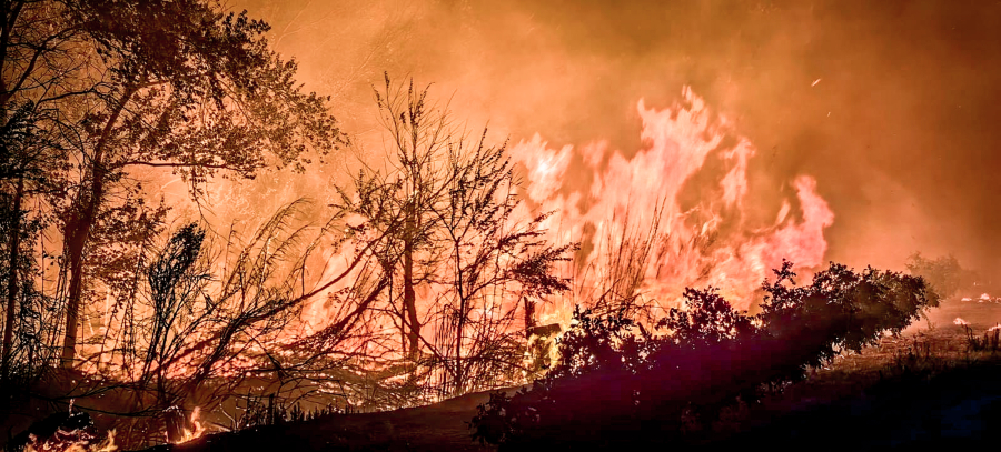 Εικόνα από την φωτιά στο Ευηνοχώρι Αιτωλοακαρνανίας