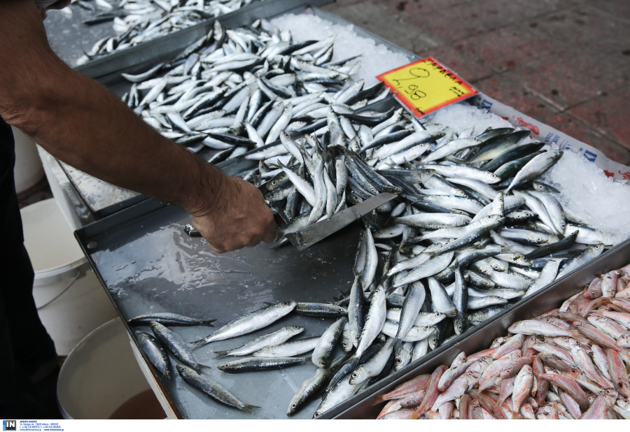 Ακρίβεια: Στα ύψη οι τιμές και στα ψάρια, σαρδέλα σε τιμή... αστακού