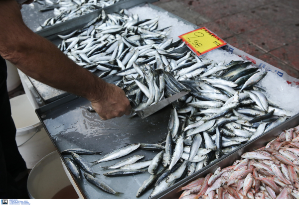 Ακρίβεια: Στα ύψη οι τιμές και στα ψάρια, σαρδέλα σε τιμή... αστακού