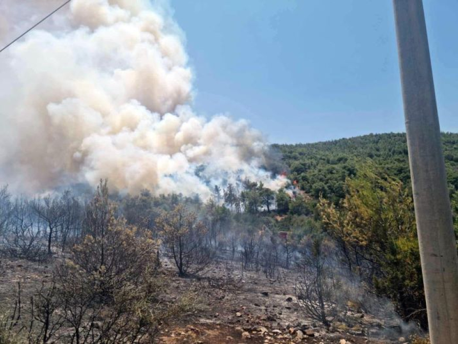 Φωτιά τώρα στον Μαραθώνα: Πληροφορίες ότι απειλείται η Μονή Αγίου Ραφαήλ (εικόνες)