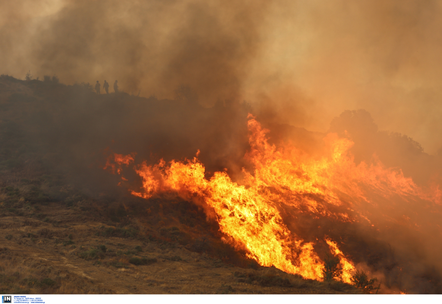 Φωτιά στην Χαλκιδική: 83 πυροσβέστες στη μάχη με τις φλόγες - 112 για εκκένωση οικισμών