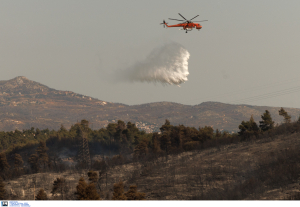 Φωτιά τώρα στην Αλεξανδρούπολη