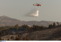 Φωτιά τώρα στην Αλεξανδρούπολη