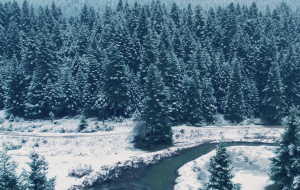 Το αλπικό χωριό της Ελλάδας που πρέπει να κάνετε από τώρα κράτηση για το Δεκέμβριο