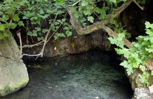 photo: politis.com.cy