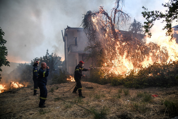 Φωτιά στην Εύβοια: Ενδείξεις για εμπρησμό στην καταστροφική πυρκαγιά