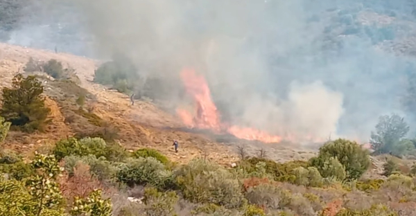 Φωτιά τώρα στο Βαρνάβα (video)