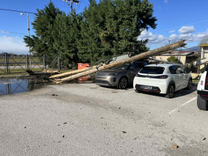 Ζημιές από τους θυελλώδεις ανέμους στη Φθιώτιδα - Χιονοπτώσεις και αλυσίδες στην Ευρυτανία (Εικόνες)