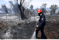 Φωτιά τα πρόστιμα για όσους πετάνε τσιγάρα και καίνε κλαδιά κατά την αντιπυρική περίοδο