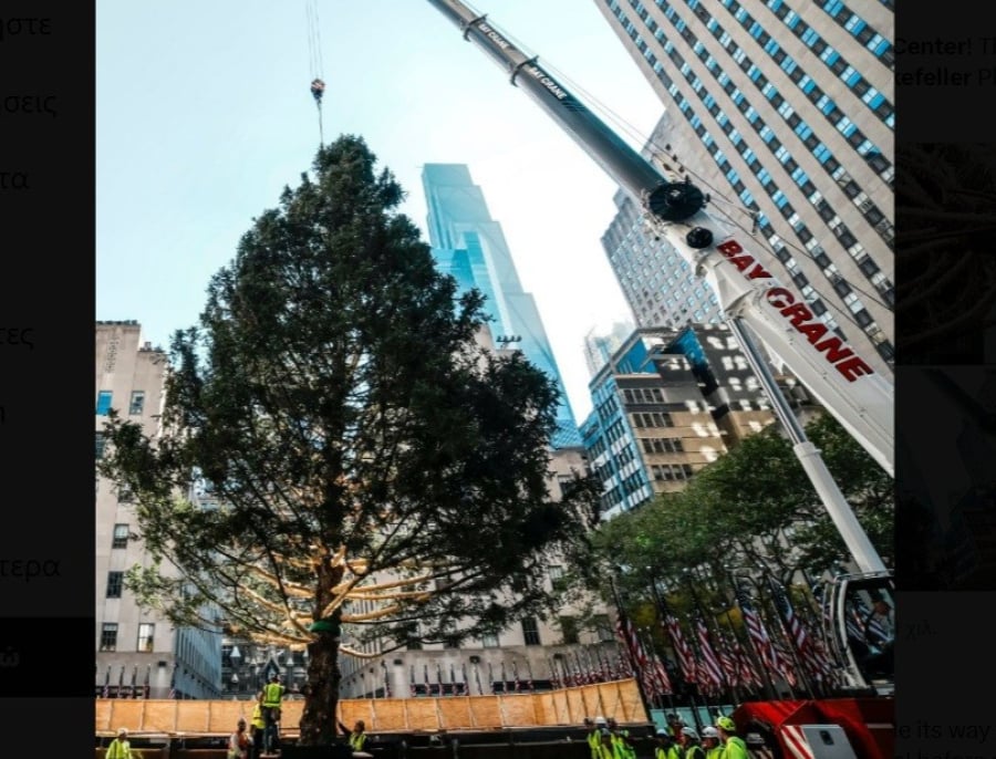 Νέα Υόρκη: Στο Rockefeller Center το εμβληματικό χριστουγεννιάτικο δέντρο - Ζυγίζει 11 τόνους και είναι 100 ετών