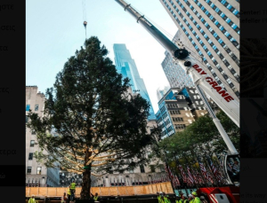 Νέα Υόρκη: Στο Rockefeller Center το εμβληματικό χριστουγεννιάτικο δέντρο - Ζυγίζει 11 τόνους και είναι 100 ετών