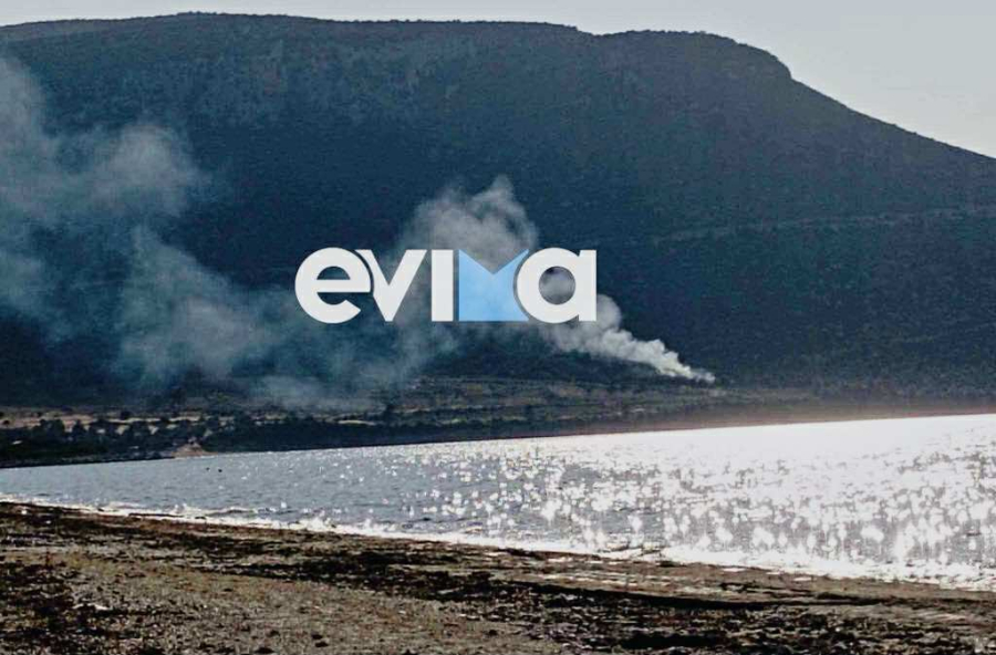 Φωτιά τώρα στην Εύβοια