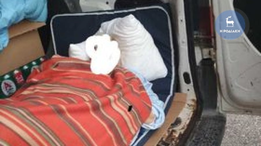 Απόκοσμες εικόνες στην Ρόδο: Μετέφεραν με φορτηγάκι από το νοσοκομείο στο σπίτι της 85χρονη με εγκεφαλικό