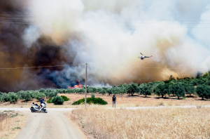 Φωτιά τώρα: Στη Ροδόπη η μεγάλη μάχη - Η εικόνα σε Εύβοια και Ανδρο