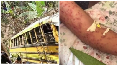 Φονικές αφρικανικές μέλισσες σκότωσαν έξι ανθρώπους -Εικόνες φρίκης στη Νικαράγουα