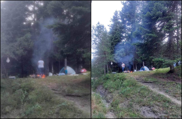 Αδιανόητη καταγγελία: Καίγεται η Ελλάδα κι αυτοί κάνουν μπάρμπεκιου σε εθνικό δρυμό