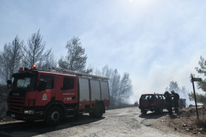 Οριοθετήθηκαν οι φωτιές σε Μεσσηνία και Πάρο