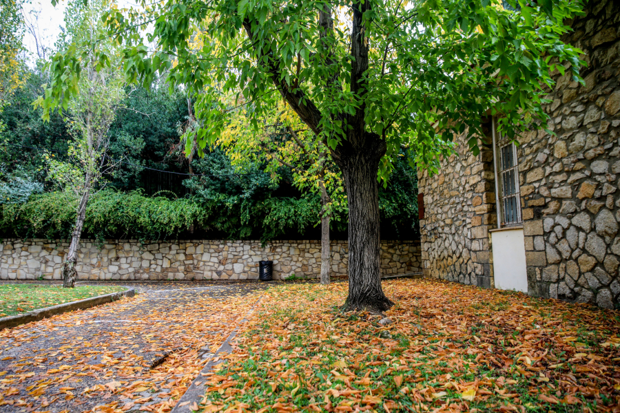 Μαρουσάκης: Βαρυχειμωνιά στην Ευρώπη, φθινοπωρινός καιρός στην Ελλάδα