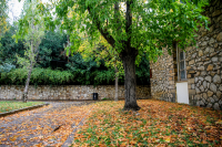 Μαρουσάκης: Βαρυχειμωνιά στην Ευρώπη, φθινοπωρινός καιρός στην Ελλάδα