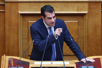 Πλεύρης για υπόθεση Γιαϊλαλί: Ανοιχτό το ενδεχόμενο προσφυγής