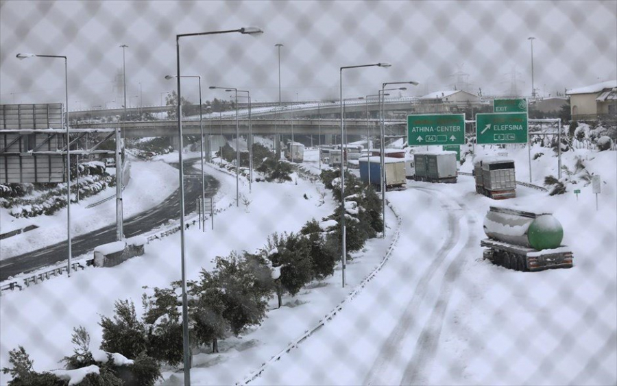 Πηγή: INTIME NEWS / ΛΙΑΚΟΣ ΓΙΑΝΝΗΣ