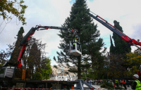 Δήμος Αθηναίων: «Η πόλη φωτίζεται» - Τι ώρα η μεγάλη γιορτή στο Σύνταγμα την Πέμπτη 27/11