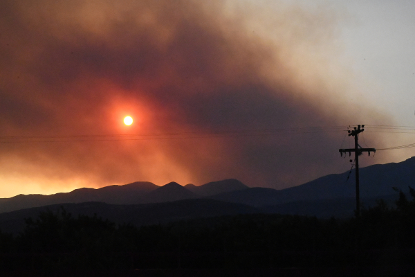 Σε ύφεση η φωτιά στον Φενεό - Μεγάλες ζημιές στο πέρασμα της