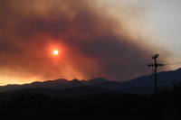 Σε ύφεση η φωτιά στον Φενεό - Μεγάλες ζημιές στο πέρασμα της