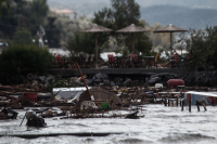 «Απομακρύνετε άμεσα τα πτώματα ζώων», καμπανάκι από καθηγητή υγιεινής για μεταδοτικές ασθένειες στη Θεσσαλία