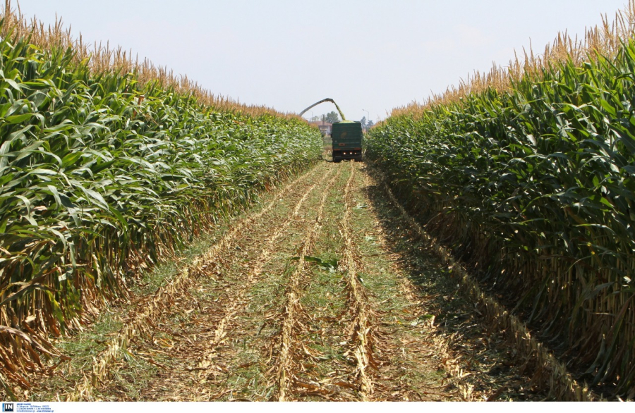 ΟΠΕΚΕΠΕ: Ξεκίνησε να πληρώνεται το τσεκ για τις αγροτικές επιδοτήσεις 2022